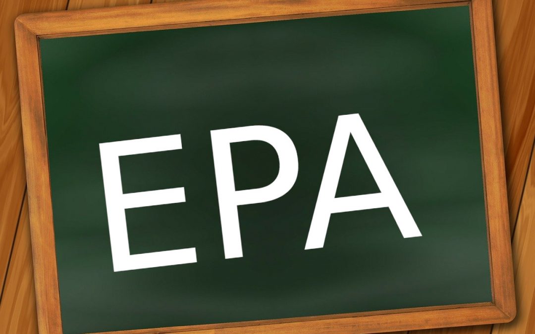 EPA Curs 2023/2024